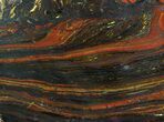 Polished Tiger Iron Stromatolite - ( Billion Years) #92951-1